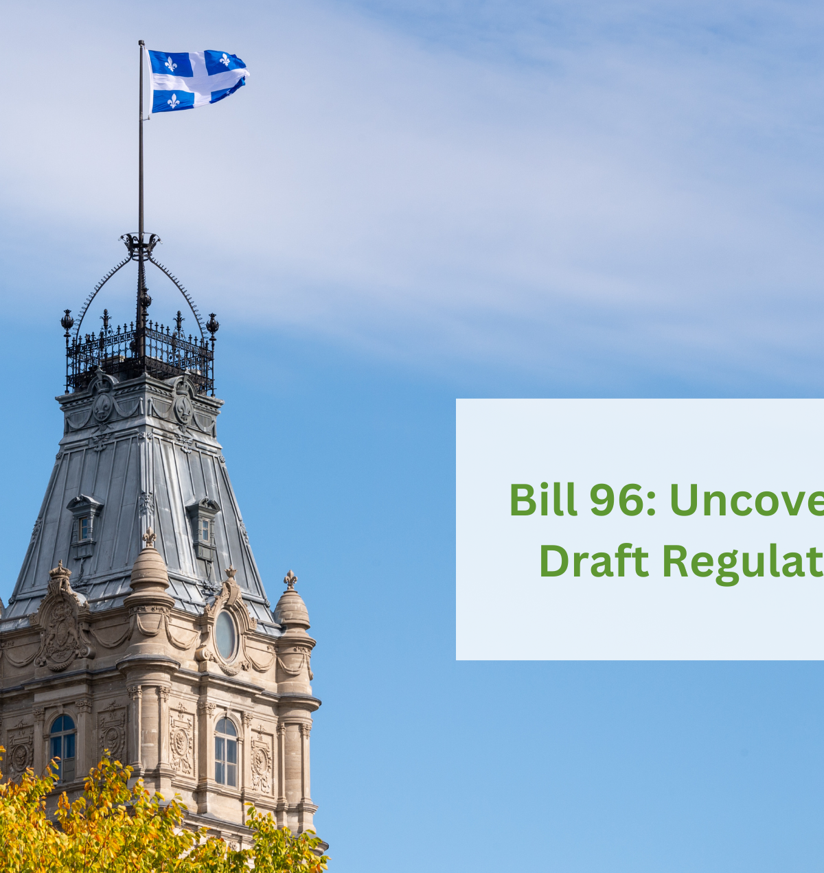 Bill 96 Uncover the Draft Regulation and its impact on your marketing activities in Québec