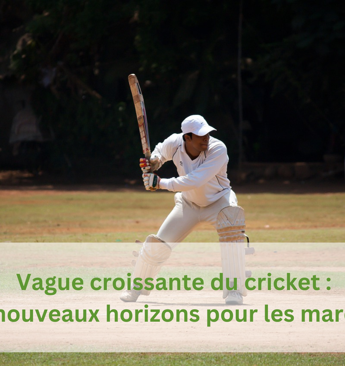 Vague croissante du cricket De nouveaux horizons pour les marques - Ethnicity matters webinaire ACA